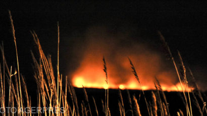 Incendiu de vegetație în Maramureș