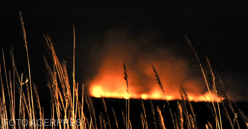 Incendiu de vegetație în Maramureș