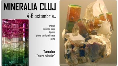 Mineralia – Salonul de toamnă 2024