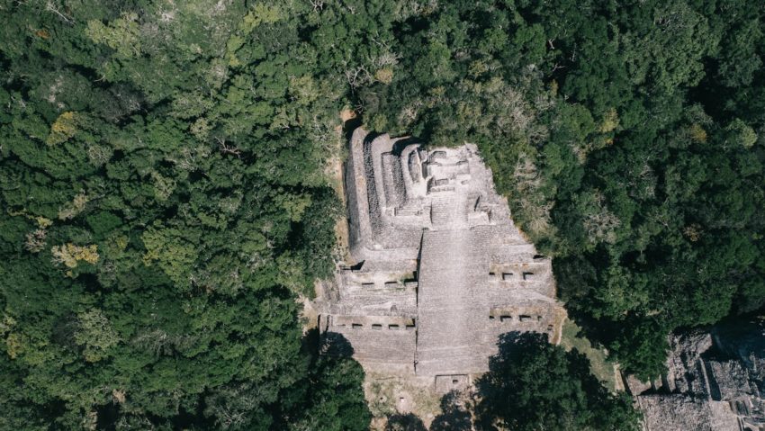 Un imens oraș mayaș, descoperit după o simplă căutare pe Google