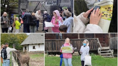 Ateliere pentru învăţarea limbii române