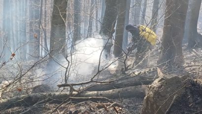 Incendiu de vegetație greu de stins în Țara Lăpușului