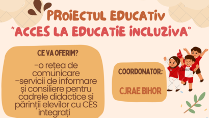 Rețea de suport pentru elevii cu cerințe educaționale speciale (CES)