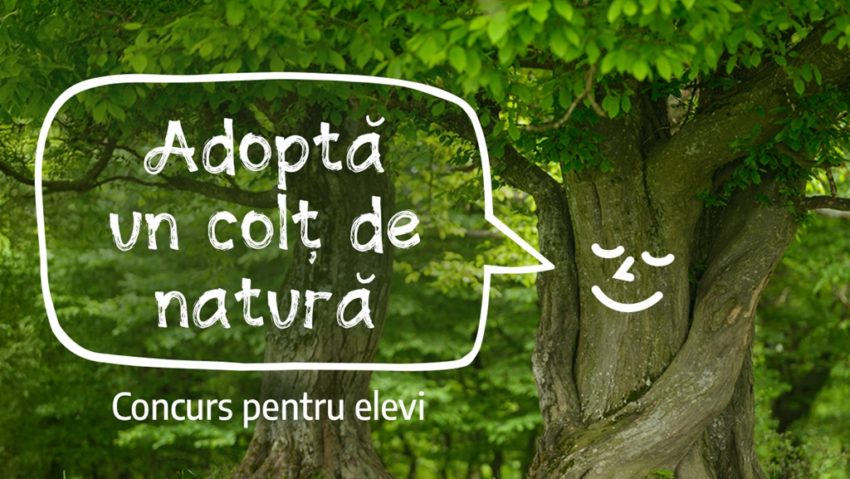 „Adoptă un colț de natură” în Munții Făgăraș