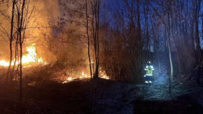 Terenuri în flăcări, în Bihor. Peste 26 de hectare au fost afectate | FOTO