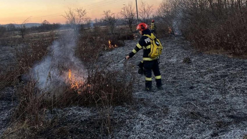 Incendiu de vegetaţie uscată pe o suprafaţă de 20 de hectare