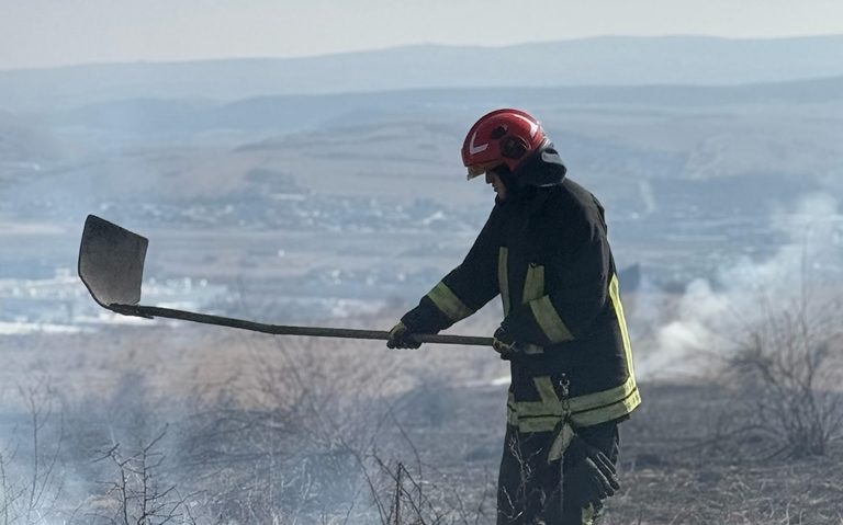 Pompierii fac cu greu față numărului mare de incendii de vegetație